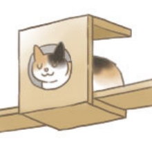 箱の中にいる猫イラスト